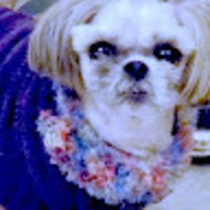 Meet your Posher, Aimee